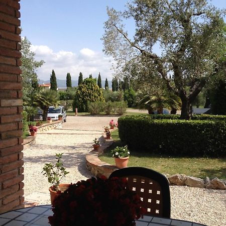 Casale Etrusco Guest House Bolgheri Exterior photo