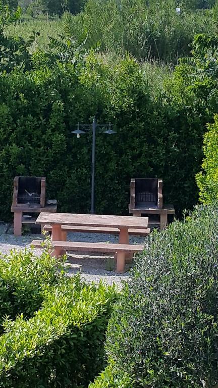 Casale Etrusco Guest House Bolgheri Exterior photo